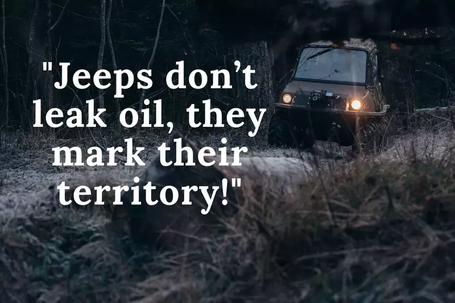 132+ Jeep Quotes, Caption, & Saying (Funny, Cool, Inspiring)